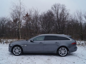 Jaguar XF Sportbrake 25 T &ndash; Kotek z plecakiem