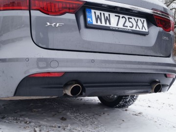 Jaguar XF Sportbrake 25 T &ndash; Kotek z plecakiem
