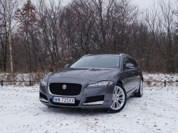Jaguar XF Sportbrake 25 T &ndash; Kotek z plecakiem