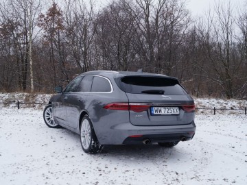 Jaguar XF Sportbrake 25 T &ndash; Kotek z plecakiem