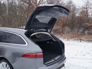 Jaguar XF Sportbrake 25 T &ndash; Kotek z plecakiem