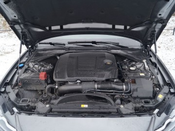 Jaguar XF Sportbrake 25 T &ndash; Kotek z plecakiem