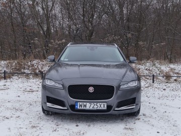 Jaguar XF Sportbrake 25 T &ndash; Kotek z plecakiem