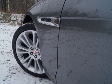 Jaguar XF Sportbrake 25 T &ndash; Kotek z plecakiem