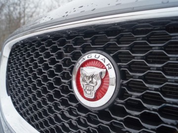 Jaguar XF Sportbrake 25 T &ndash; Kotek z plecakiem