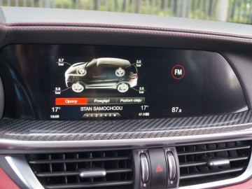 Alfa Romeo Stelvio QV 2,9 V6 Bi-Turbo AT8 510 KM &ndash; Bezkompromisowy