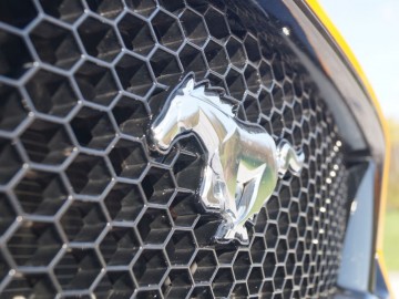 Ford Mustang Fastback GT 5.0 V8 450 KM - &nbsp;Narowisty niczym Mustang...