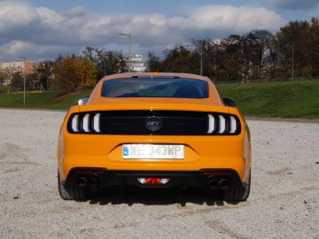 Ford Mustang Fastback GT 5.0 V8 450 KM - &nbsp;Narowisty niczym Mustang...