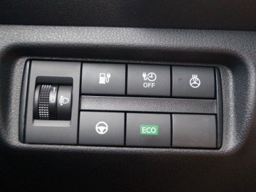 Nissan Leaf e+ 59 kWh 218 KM A/T &ndash; Nadal w grze