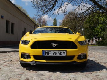 Ford Mustang GT - Prawdziwy brutal