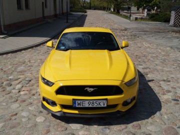 Ford Mustang GT - Prawdziwy brutal