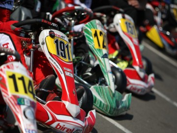 Rok Cup Poland &ndash; Ponad 100 zawodnik&oacute;w w Toruniu