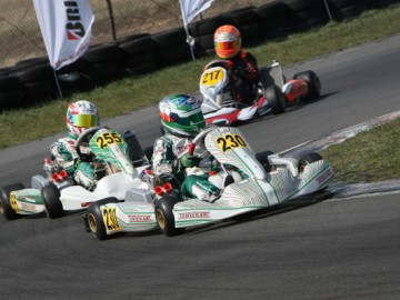 Rok Cup Poland &ndash; Ponad 100 zawodnik&oacute;w w Toruniu