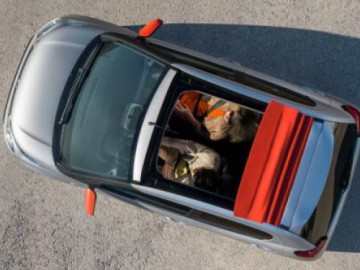 Citroen C1 &ndash; Odważny styl