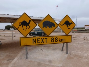 Przygoda na ziemii australijskiej