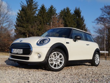 Mini One D - ﻿Paliwowy Mini(malista)