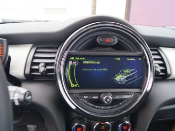Mini One D - ﻿Paliwowy Mini(malista)