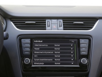 Skoda Octavia Kombi RS 230 2.0 TSI DSG - Sterydowa Czeszka