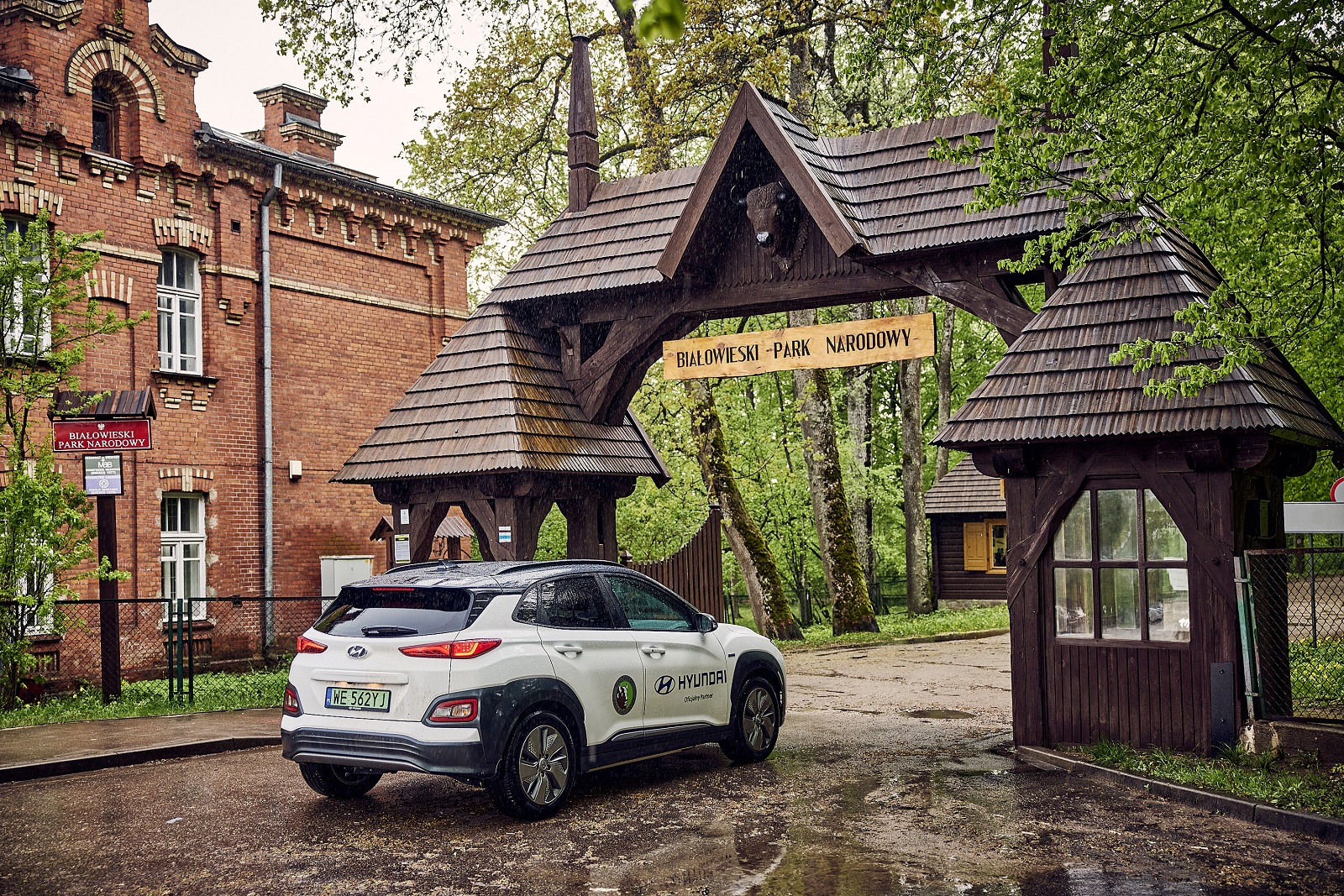 Elektryczny Hyundai w Parku Białowieskim