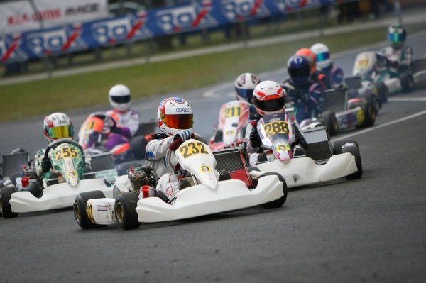 Rok Cup Poland z gwiazdami